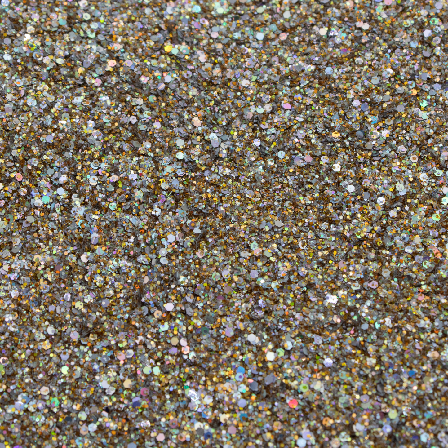 Sand Dollar Glitter