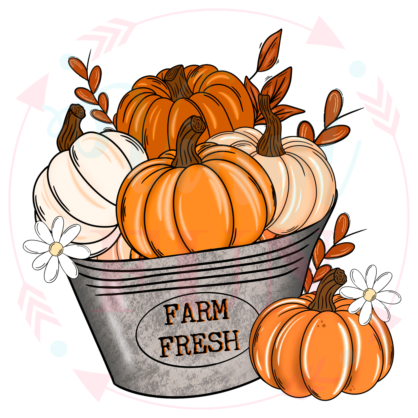 Farm Fresh Transfer -H62