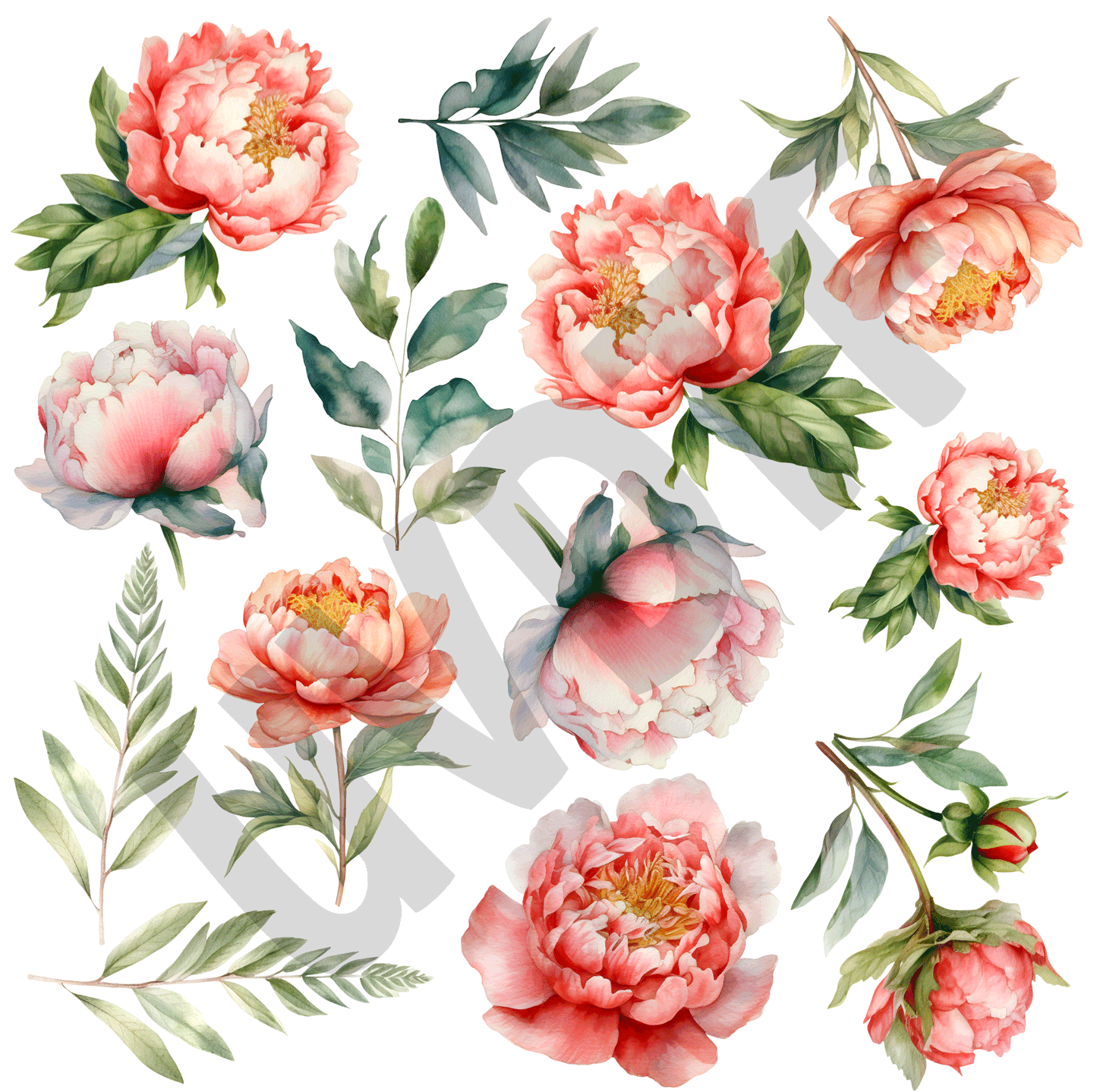 UVDTF Peonies Elements-Y25