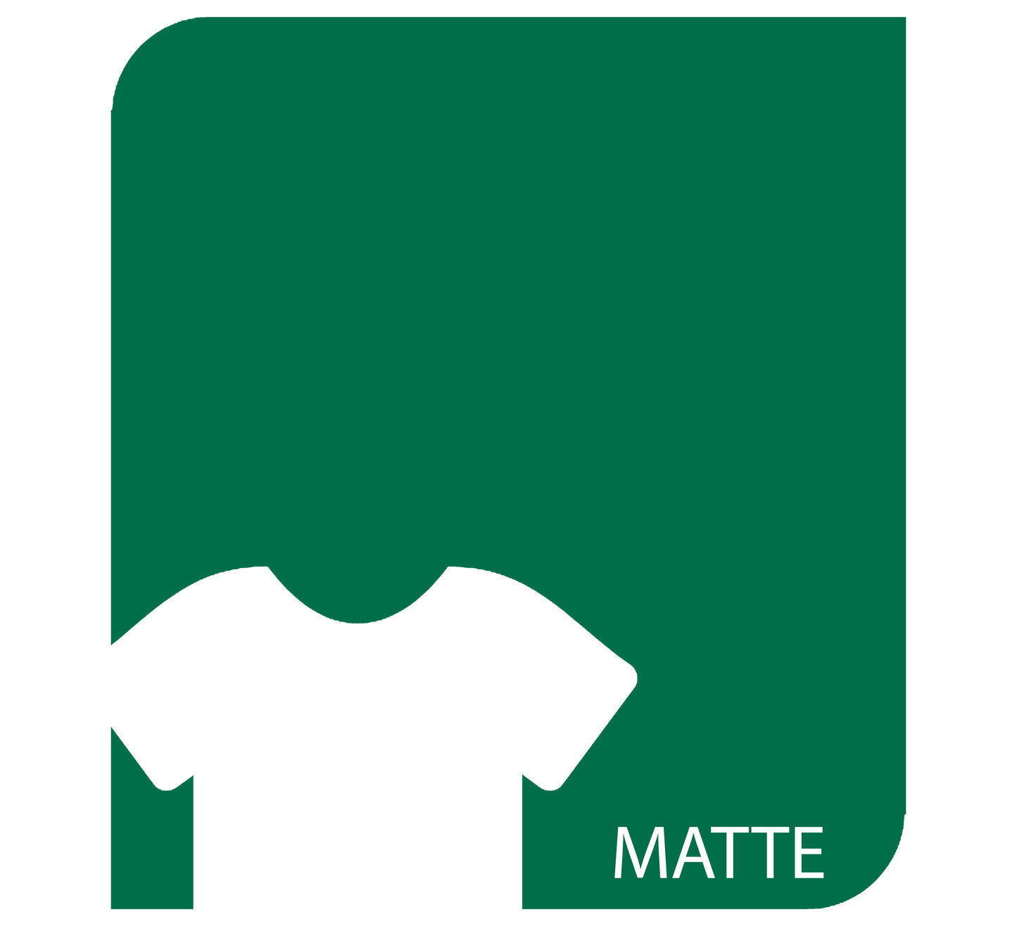 Siser EasyWeed® Matte 12"-You Choose Size