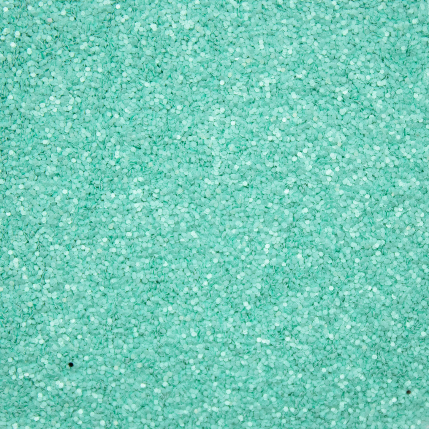 Mermaid Wishes Glitter