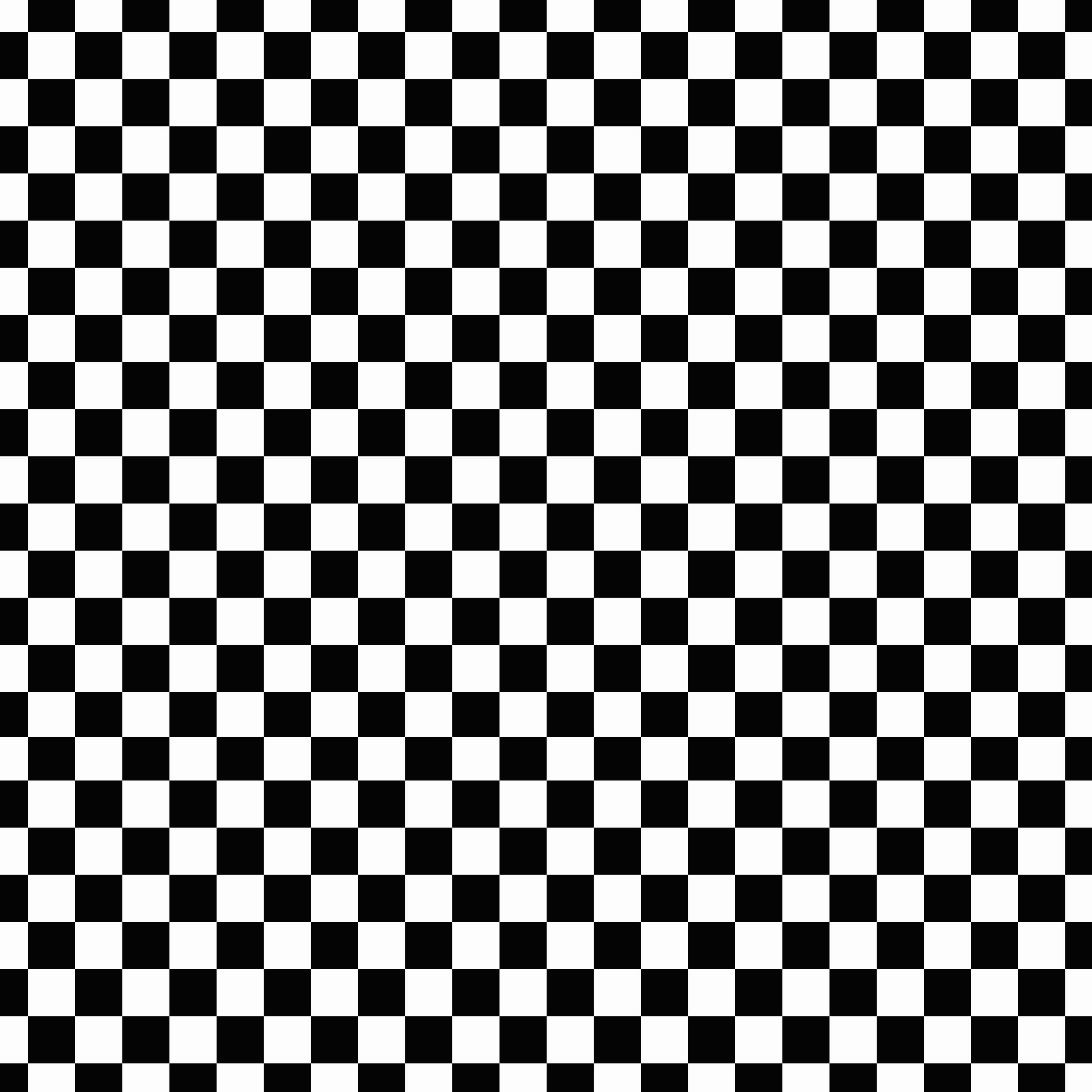 Checkered-E16 – Vinyl Fun
