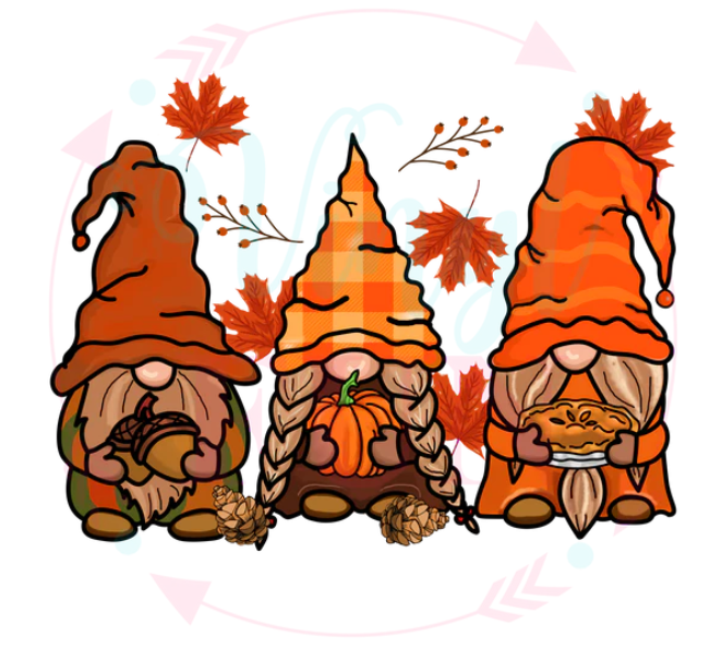 Fall Gnomes Decal -H125