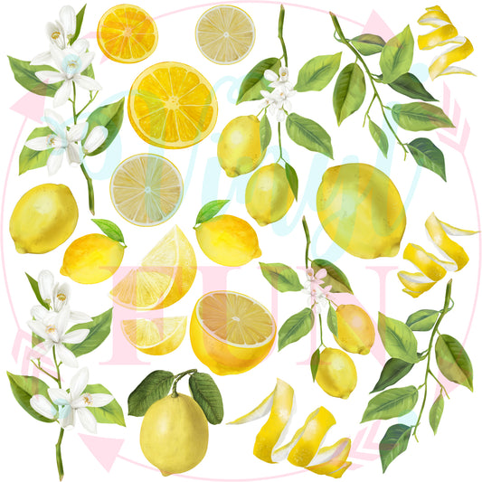 Lemon Element Sheet
