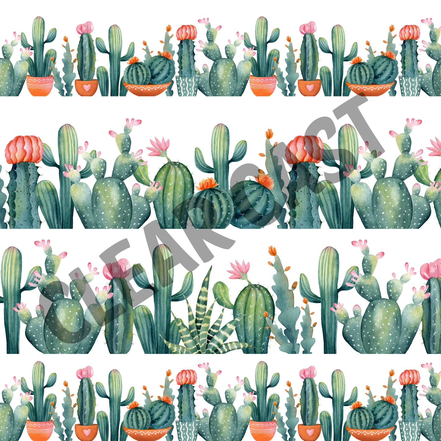 Rows Of Cacti-Clear Cast