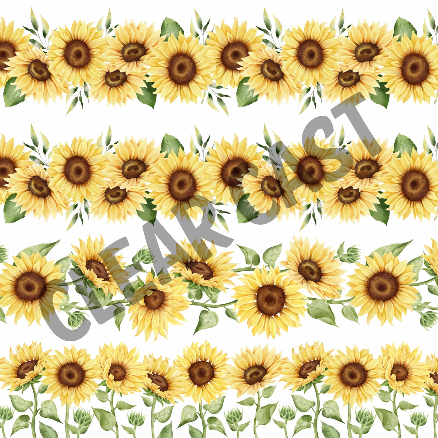 Rows Of Sunflowers-Clear Cast